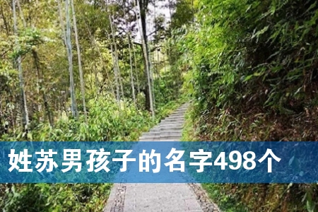 姓苏男孩子的名字498个
