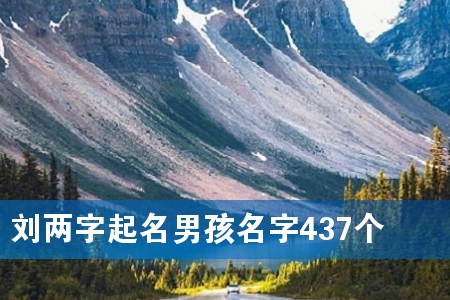 刘两字起名男孩名字437个