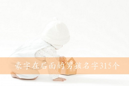 豪字在后面的男孩名字315个