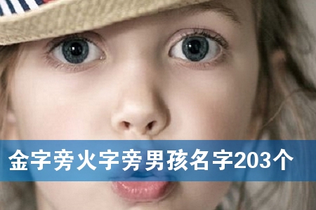 金字旁火字旁男孩名字203个