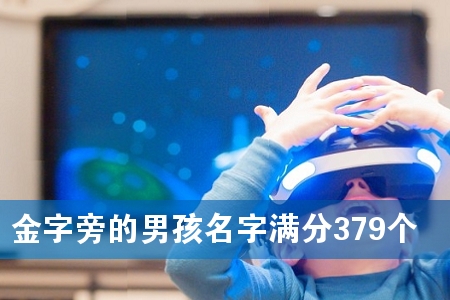 金字旁的男孩名字满分379个
