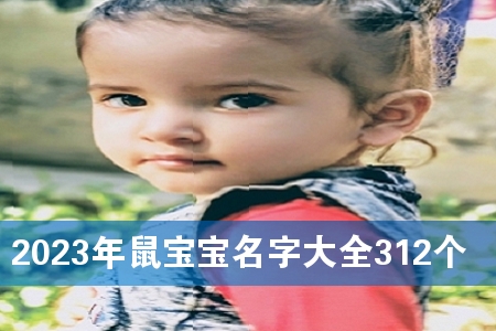 2023年鼠宝宝名字大全312个