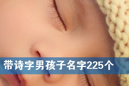 带诗字男孩子名字225个