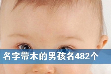 名字带木的男孩名482个