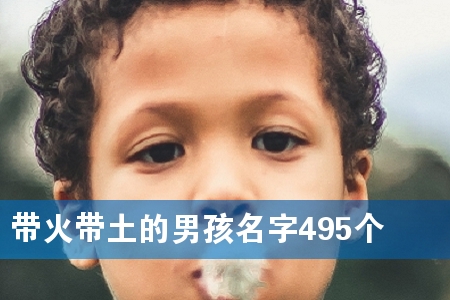 带火带土的男孩名字495个