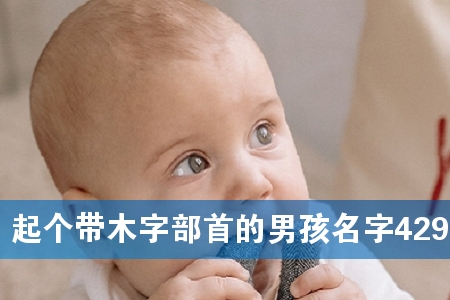 �����ľ�ֲ��׵��к�����429��