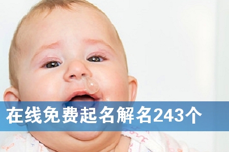 在线免费起名解名243个
