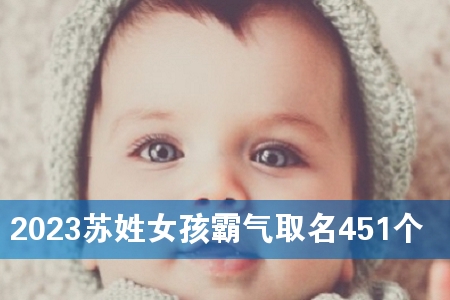 2023ËÕÐÕÅ®º¢°ÔÆøÈ¡Ãû451¸ö