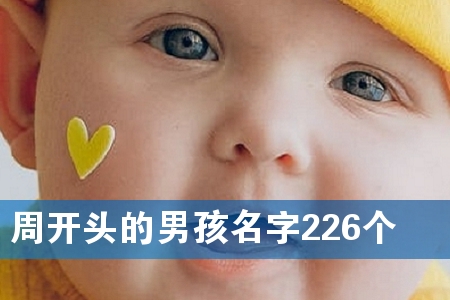 周开头的男孩名字226个