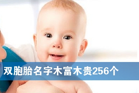 ˫��̥����ľ��ľ��256��