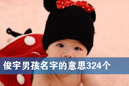 俊宇男孩名字的意思324个