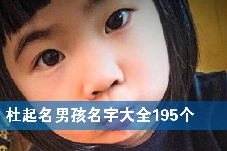 杜起名男孩名字大全195个