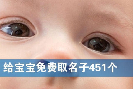 给宝宝免费取名子451个