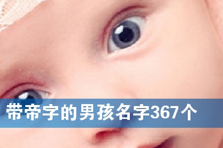 带帝字的男孩名字367个