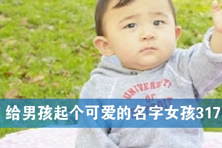 给男孩起个可爱的名字女孩317个