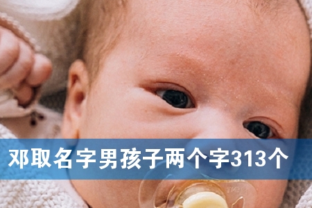 邓取名字男孩子两个字313个