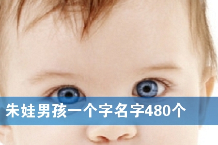 朱娃男孩一个字名字480个