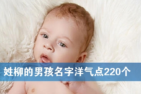 姓柳的男孩名字洋气点220个