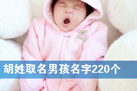 胡姓取名男孩名字220个
