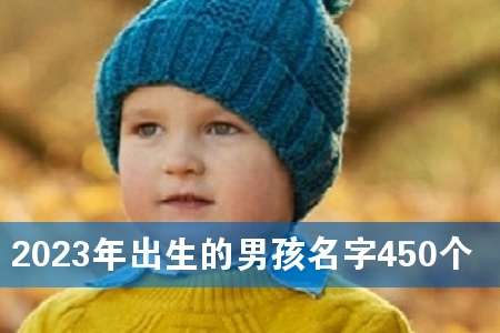 2023年出生的男孩名字450个
