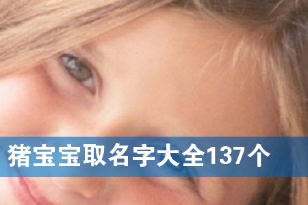猪宝宝取名字大全137个