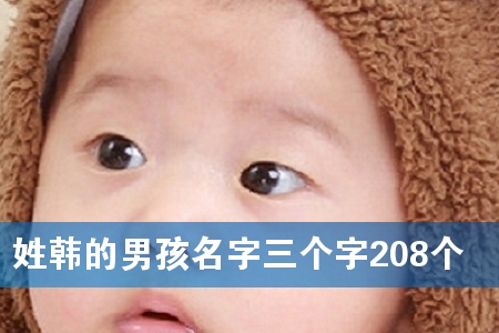 姓韩的男孩名字三个字208个