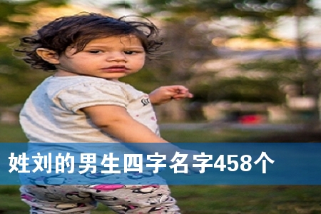 姓刘的男生四字名字458个