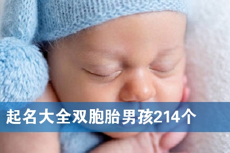 起名大全双胞胎男孩214个