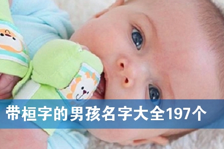 带桓字的男孩名字大全197个