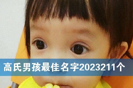 �����к��������2023211��