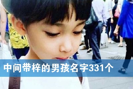 �м�������к�����331��