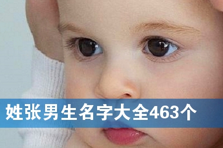 �����������ִ�ȫ463��