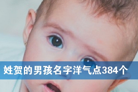 ÐպصÄÄк¢Ãû×ÖÑóÆøµã384¸ö