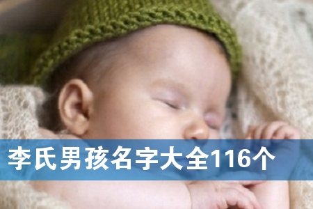 李氏男孩名字大全116个