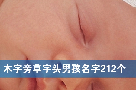 木字旁草字头男孩名字212个