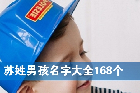 苏姓男孩名字大全168个