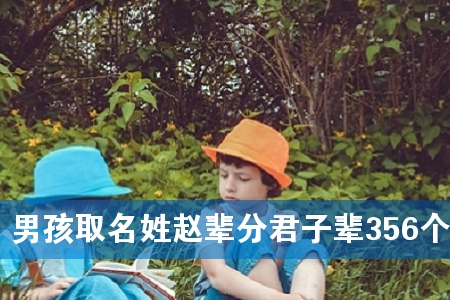 男孩取名姓赵辈分君子辈356个