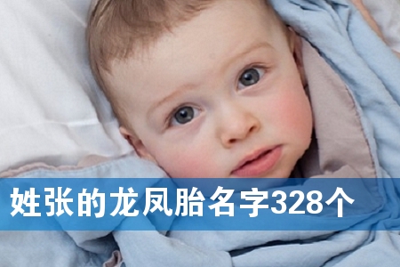 姓张的龙凤胎名字328个