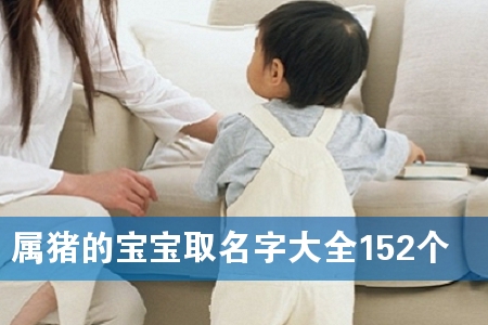 属猪的宝宝取名字大全152个