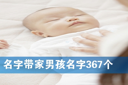 名字带家男孩名字367个