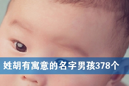 姓胡有寓意的名字男孩378个