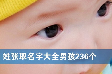 姓张取名字大全男孩236个