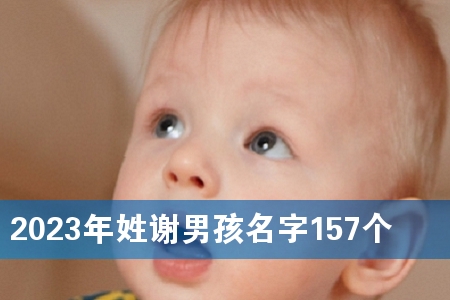 2023年姓谢男孩名字157个
