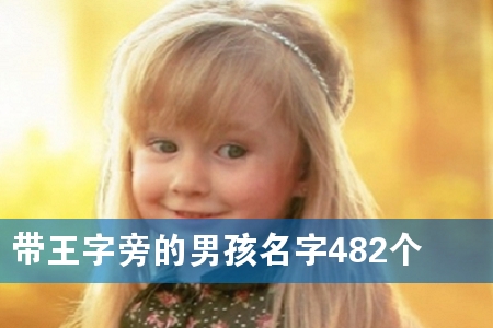 带王字旁的男孩名字482个