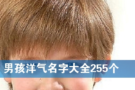 男孩洋气名字大全255个