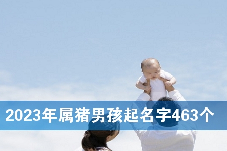 2023年属猪男孩起名字463个