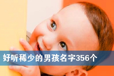 好听稀少的男孩名字356个