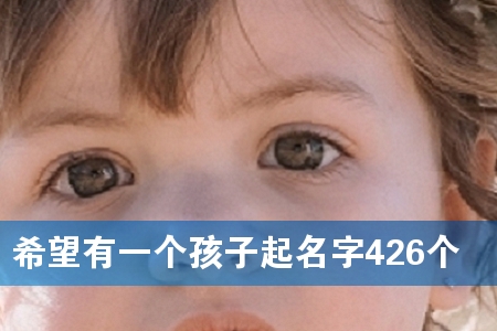 Ï£ÍûÓÐÒ»¸öº¢×ÓÆðÃû×Ö426¸ö