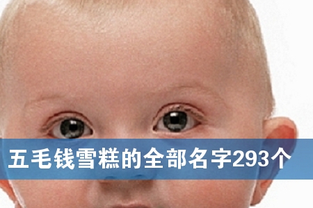 五毛钱雪糕的全部名字293个