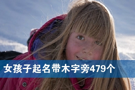 Å®º¢×ÓÆðÃû´øÄ¾×ÖÅÔ479¸ö